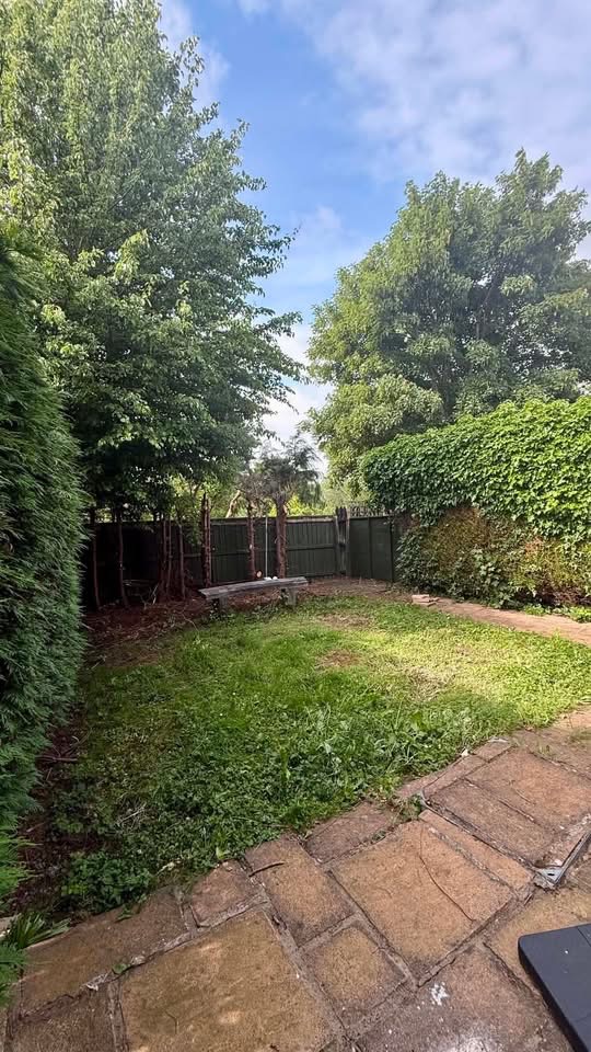 Clear garden after branches and green waste removal in Tynemouth