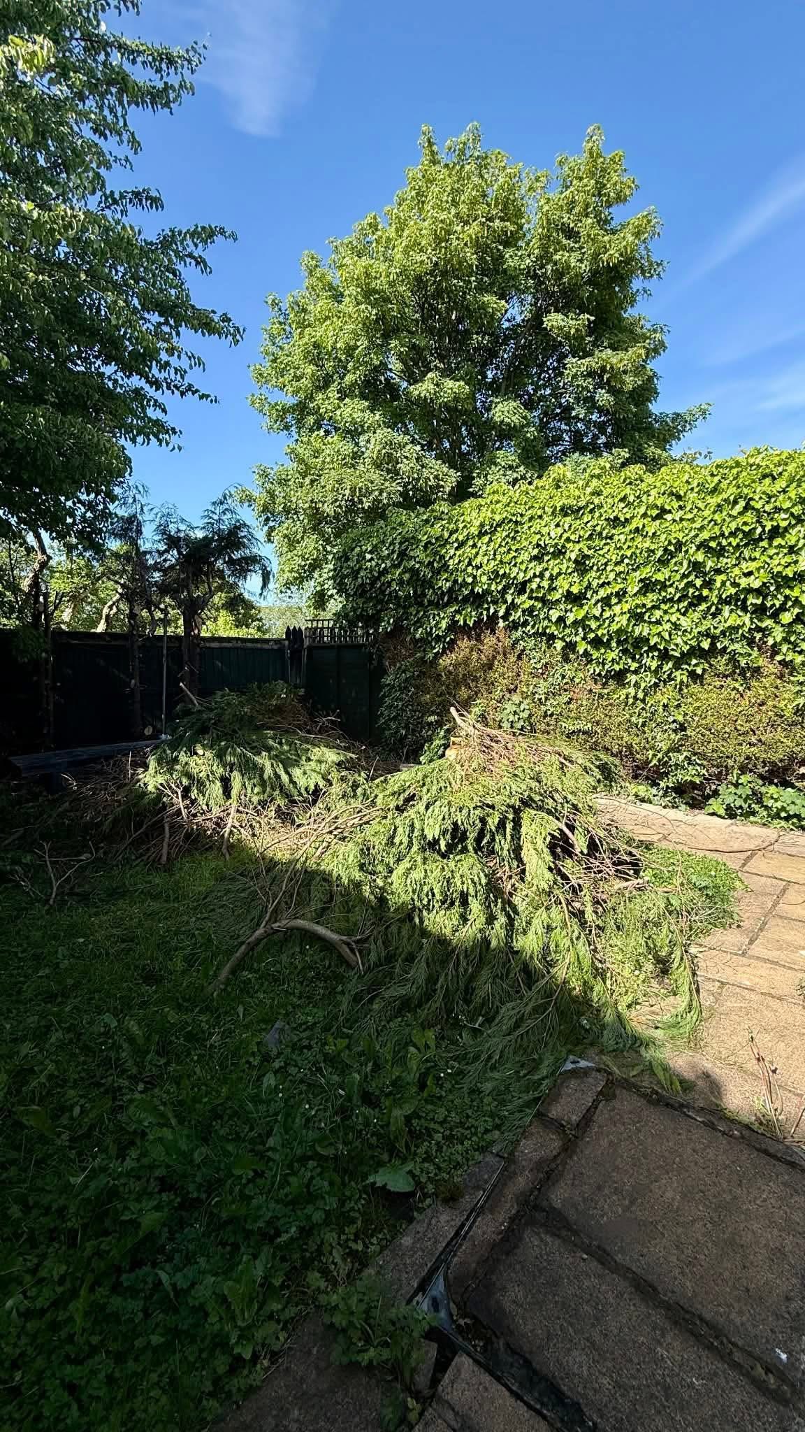 Large pile of branches and green garden waste before clearance in Tynemouth